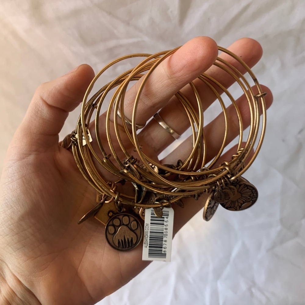 Alex + Ani Bracelets - Picture 10 of 11